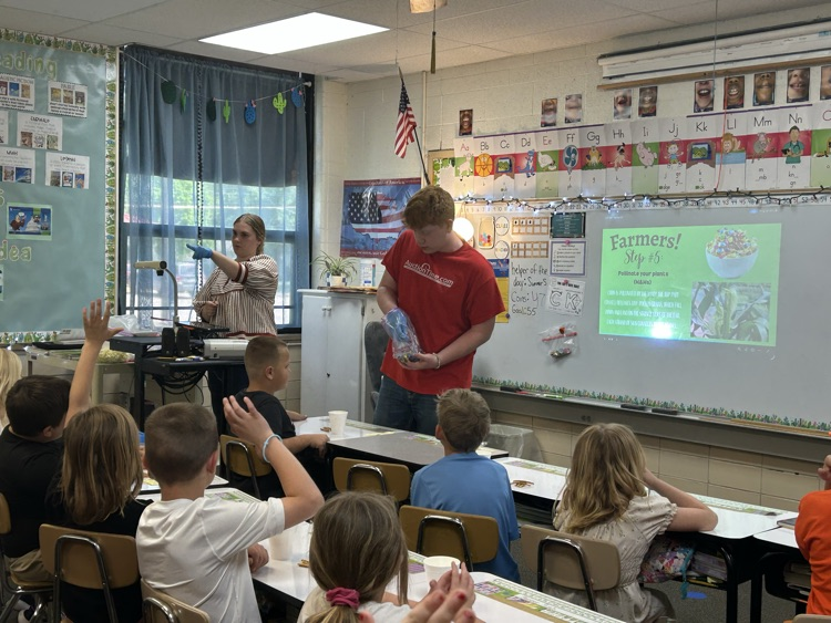 Learning about corn