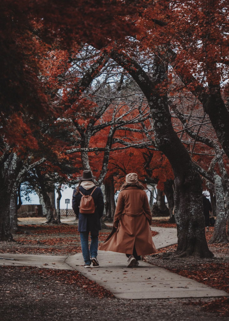 Two people walking along a path