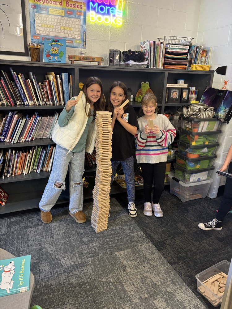 Building with Keva planks.