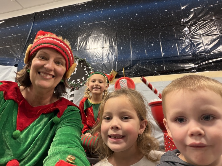 Selfie with an Elfie