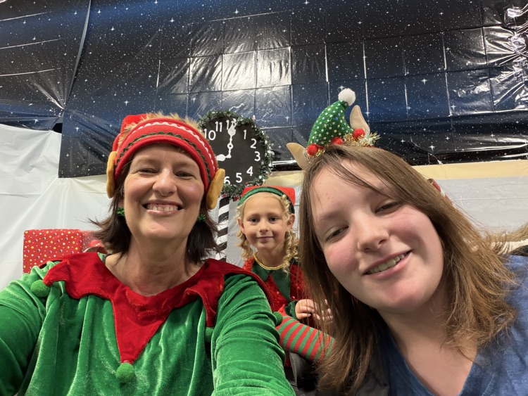 Selfie with an Elfie