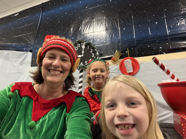 Selfie with an Elfie