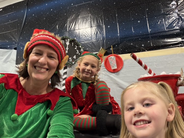 Selfie with an Elfie