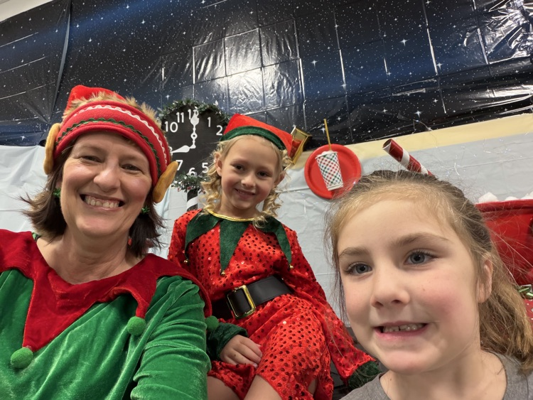 Selfie with an Elfie