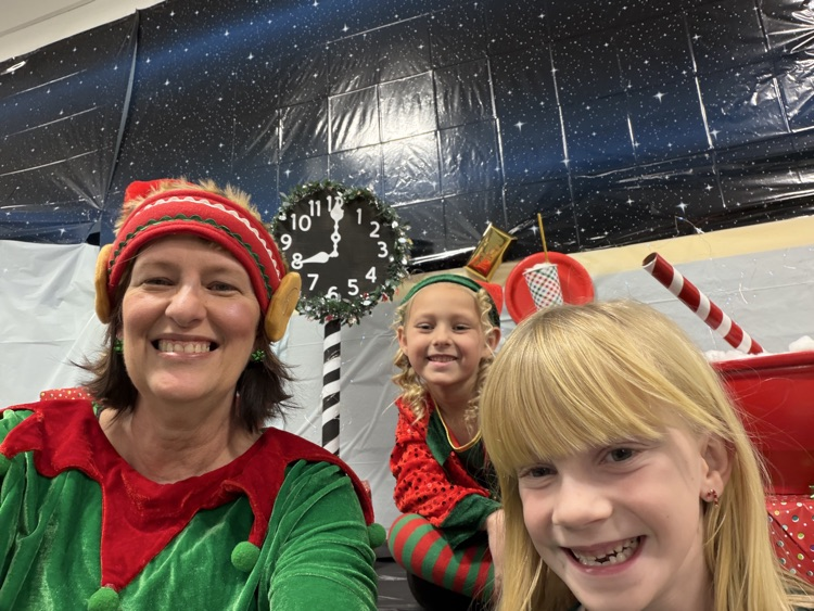 Selfie with an Elfie