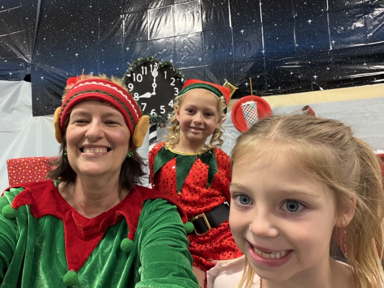 Selfie with an Elfie