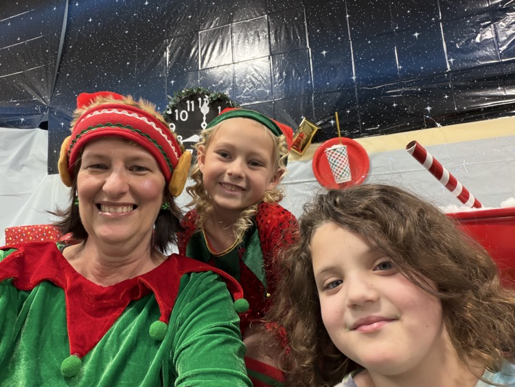 Selfie with an Elfie