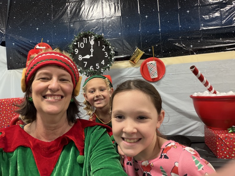 Selfie with an Elfie