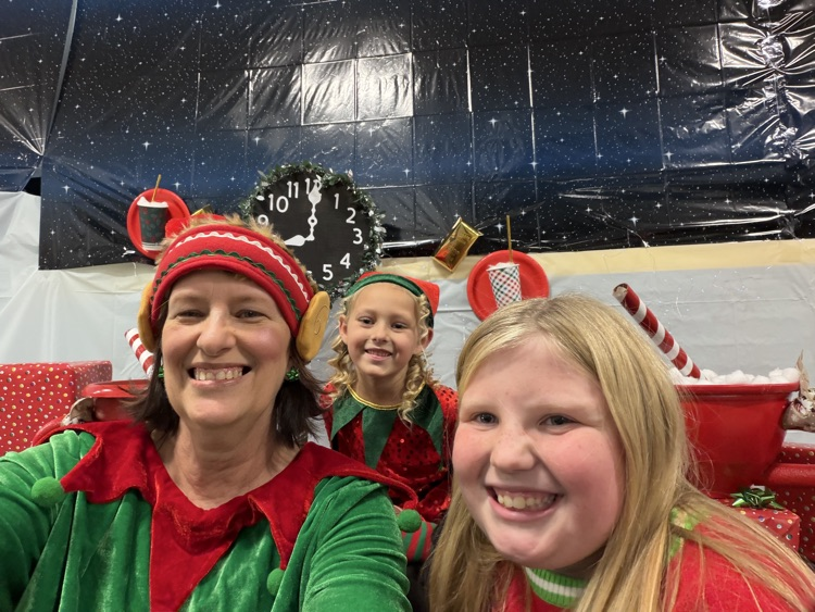 Selfie with an Elfie