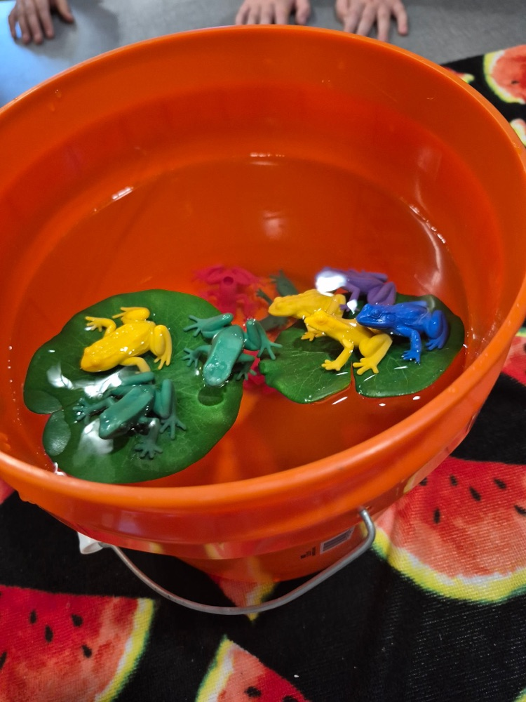 How many frogs can float on a lily pad?