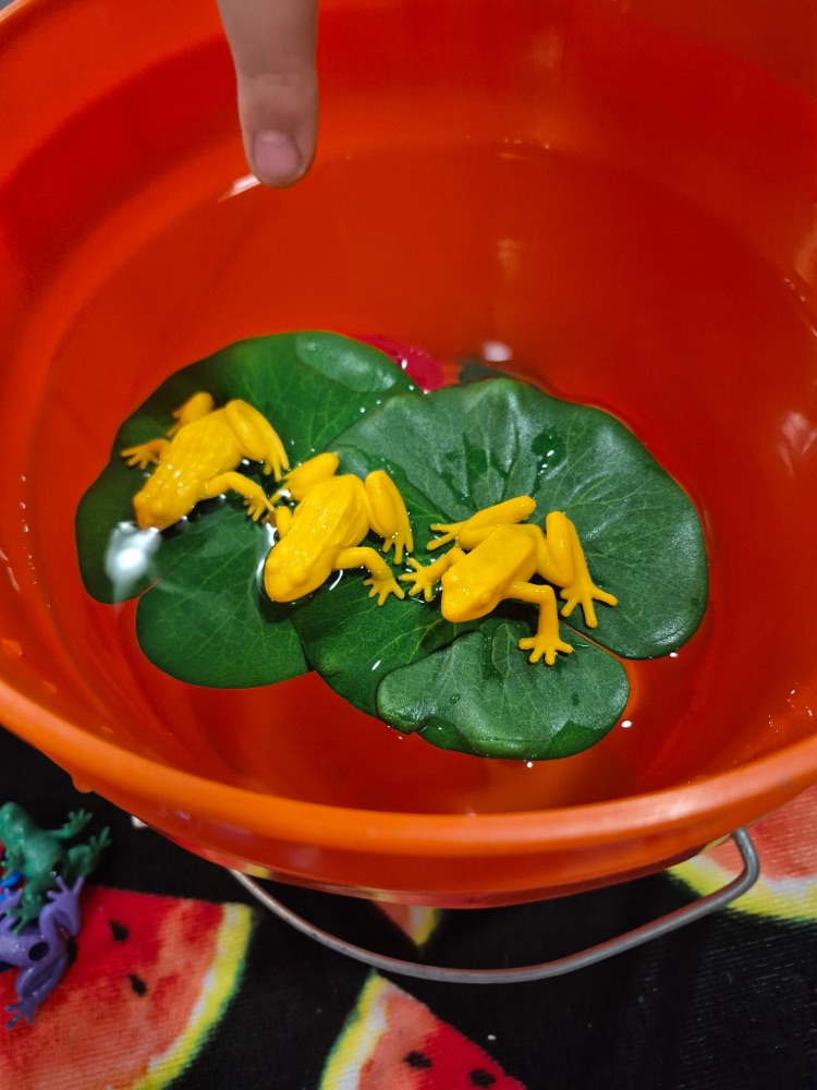 How many frogs can float on a lily pad?