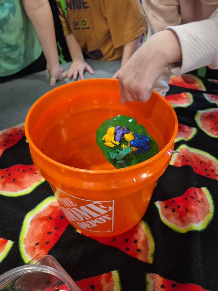 How many frogs can float on a lily pad?