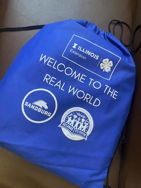 Real World Bag