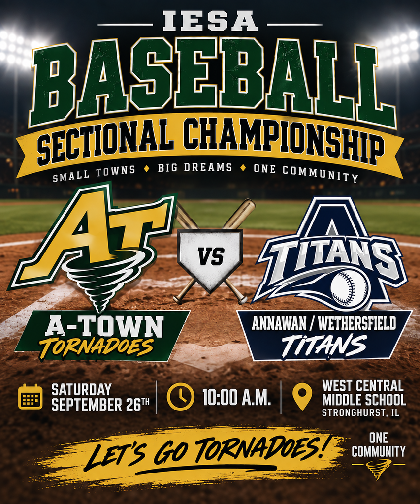 Baseball flyer