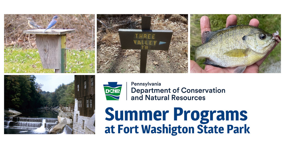 Summer Programs at Fort Washington State Park - PA Department of Conservation & Natural Resources