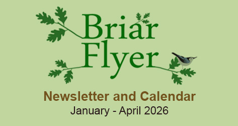 Briar Flyer - Newsletter & Calendar: January - April 2026