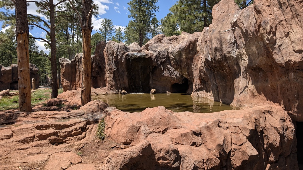 Bears sit in a body of water with their heads peeking out, within a mass of large rocks