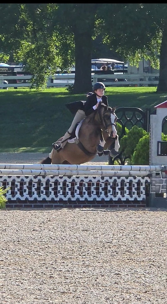 Sophia is sitting on her pony jumping over a hurtle
