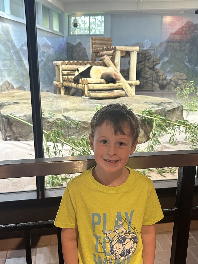 Robbie stands in front of a zoo exhibit with a large panda laying down on a wooden  platform