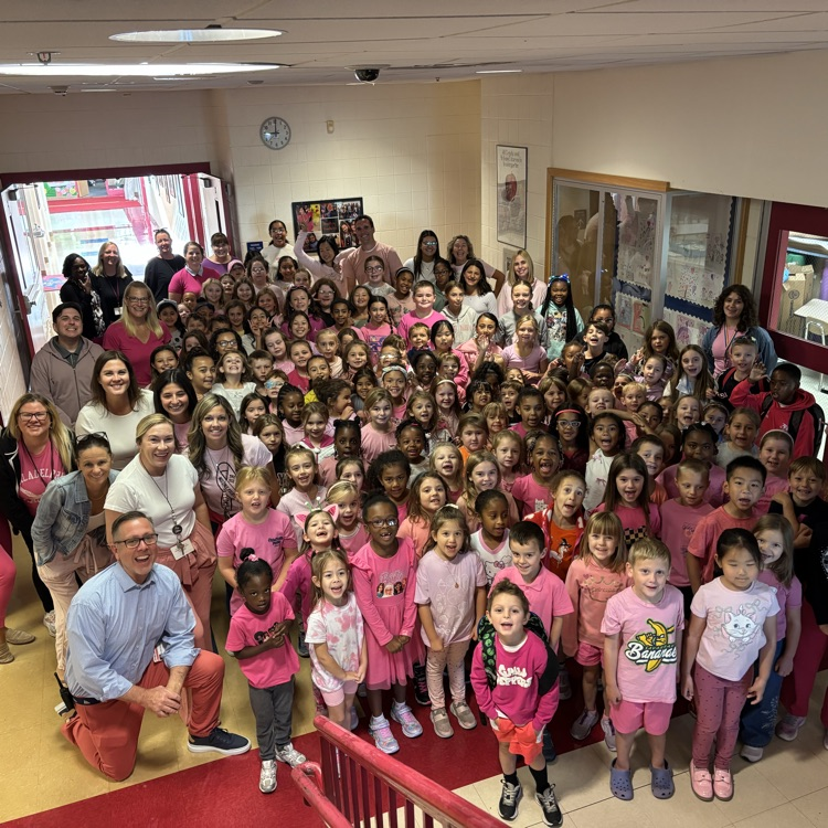 Roslyn staff dressed in pink 