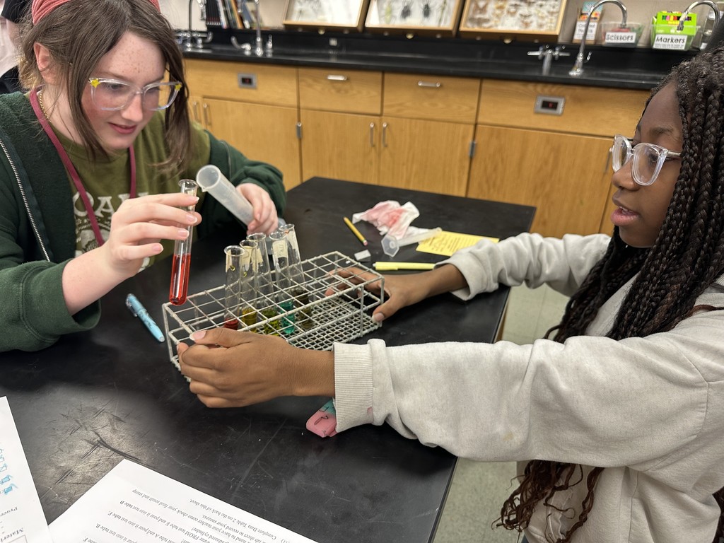 Image of 6th grade students in science class.