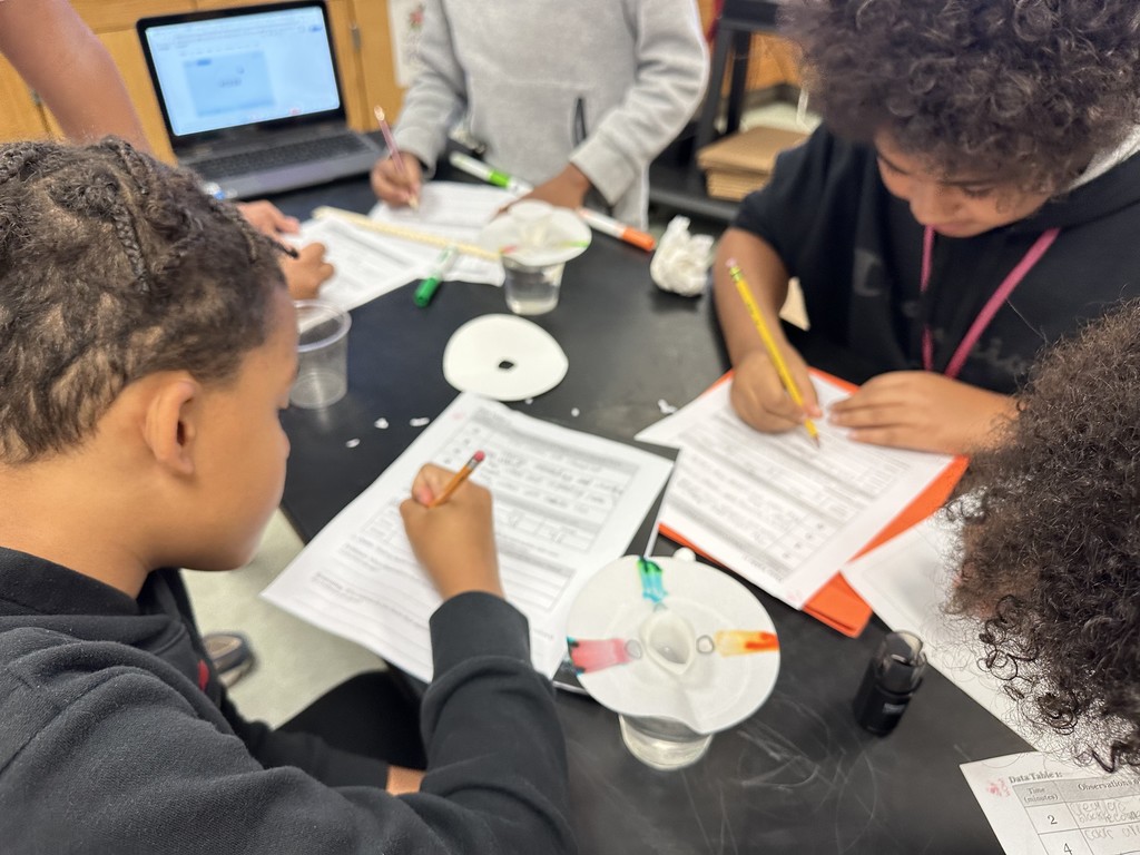 Image of 6th grade students in science class.