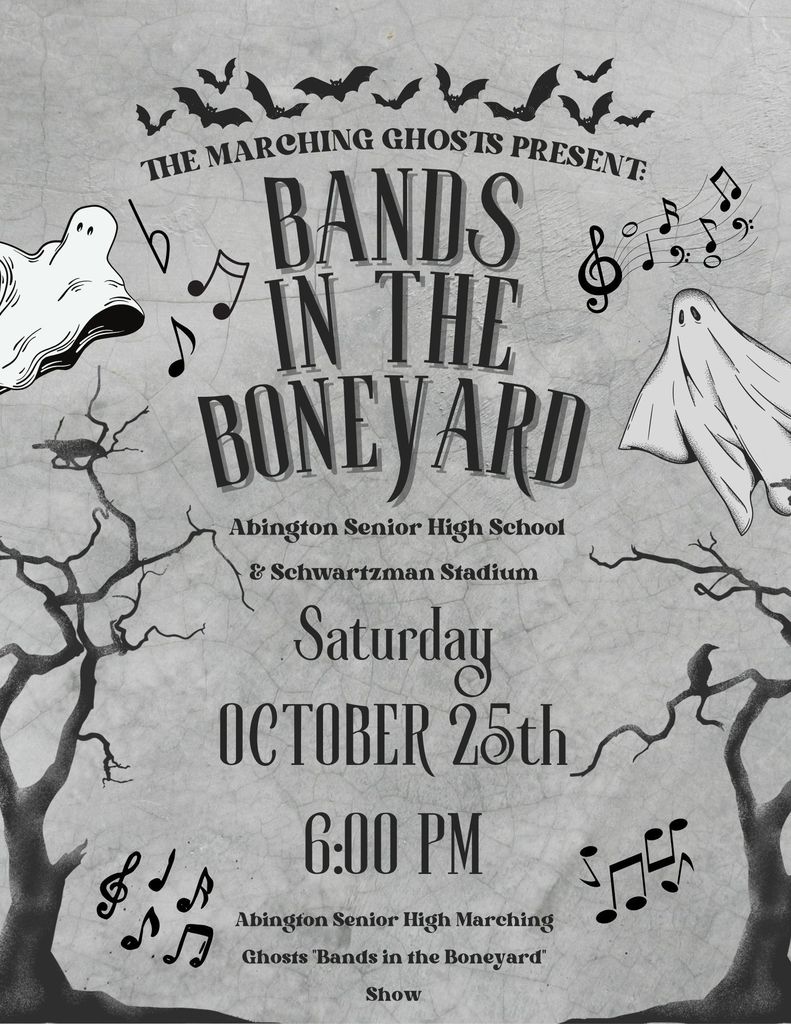 bands in boneyard flyer