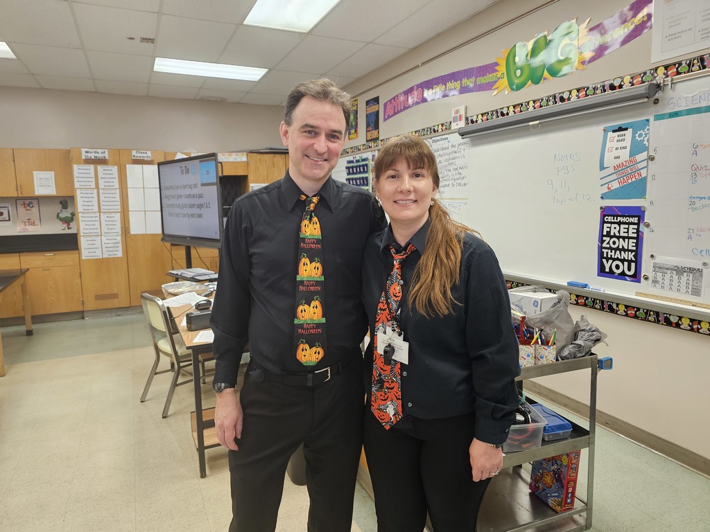 Image of AMS teachers celebrating Twin Day