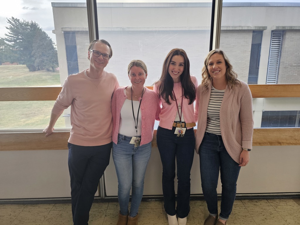 Image of AMS teachers celebrating Twin Day