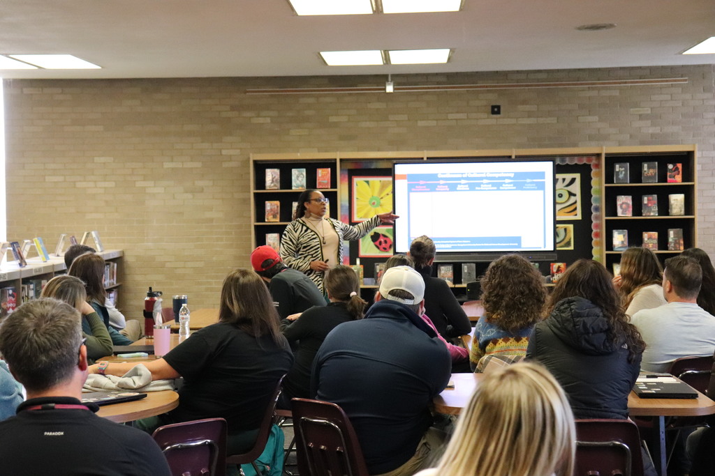 Dr. Lesesne leads a cultural proficiency discussion