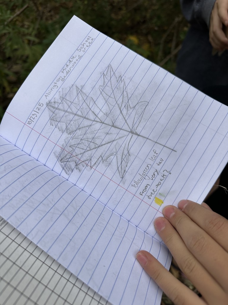 Image of Going Green Club students out in nature.