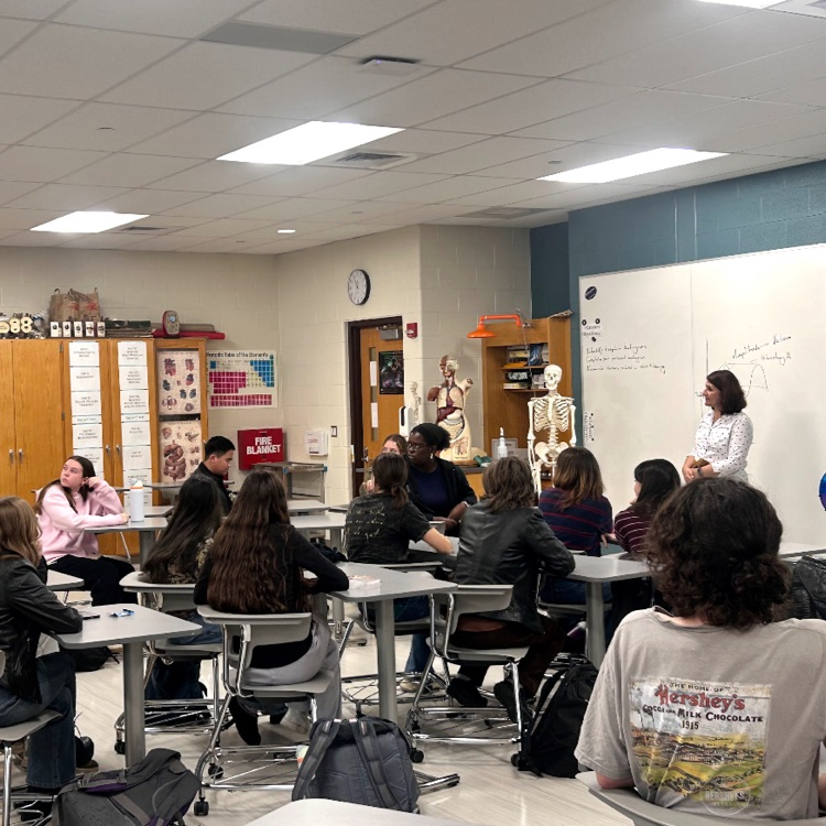 Students asking questions