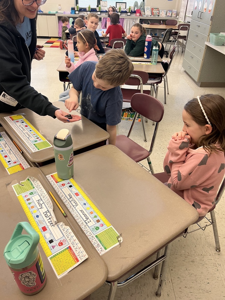 students touching a bug
