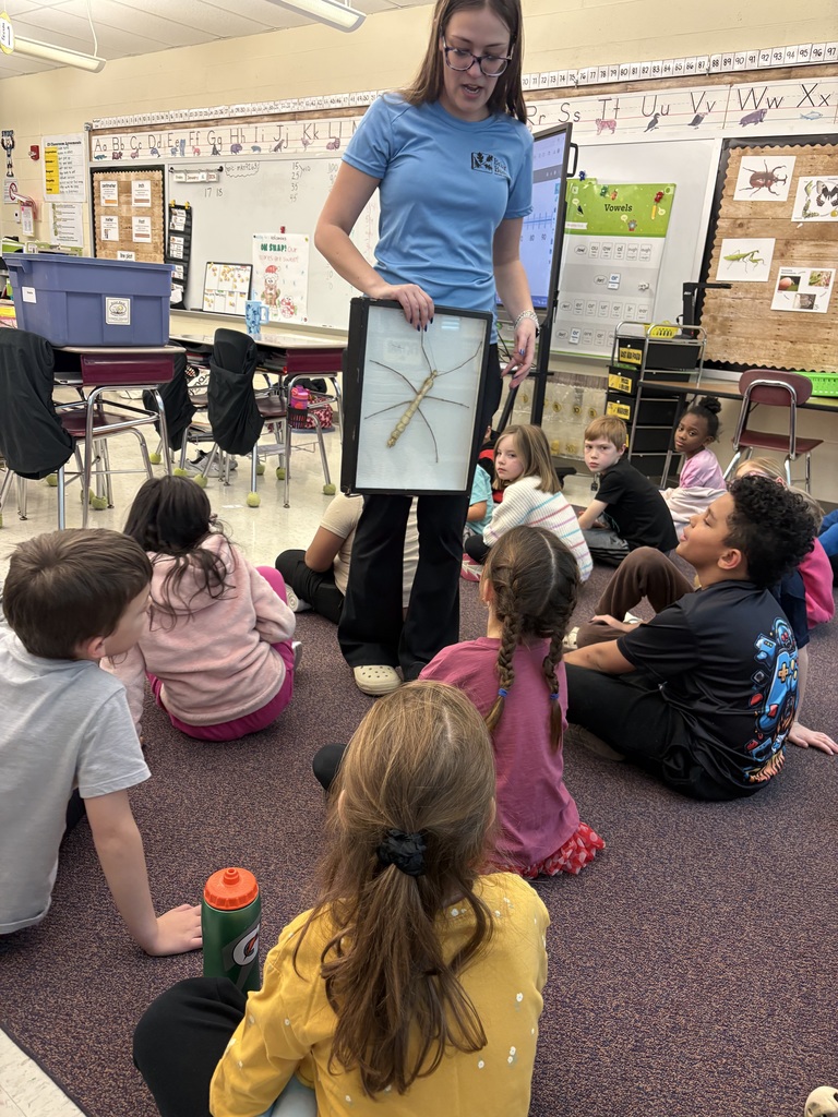 Students looking at insects