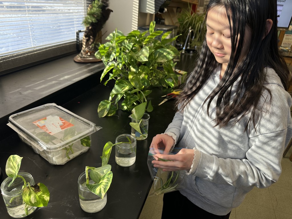 Image of Going Green Club members conducting experiments.