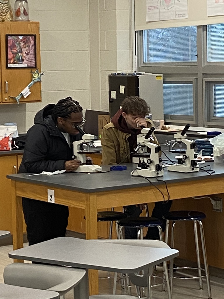 students investigating