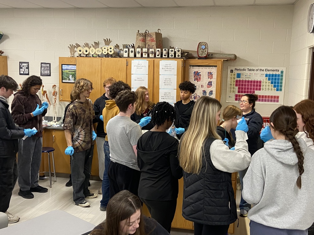 students engaged in activities