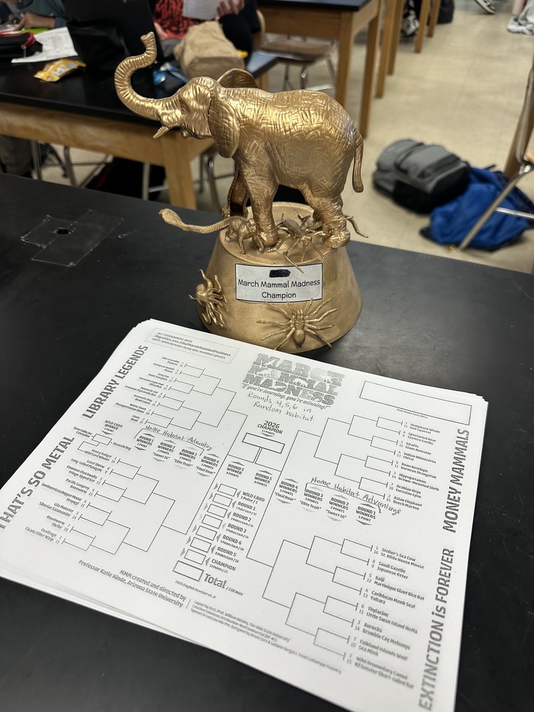 Image of 6th grade march madness 