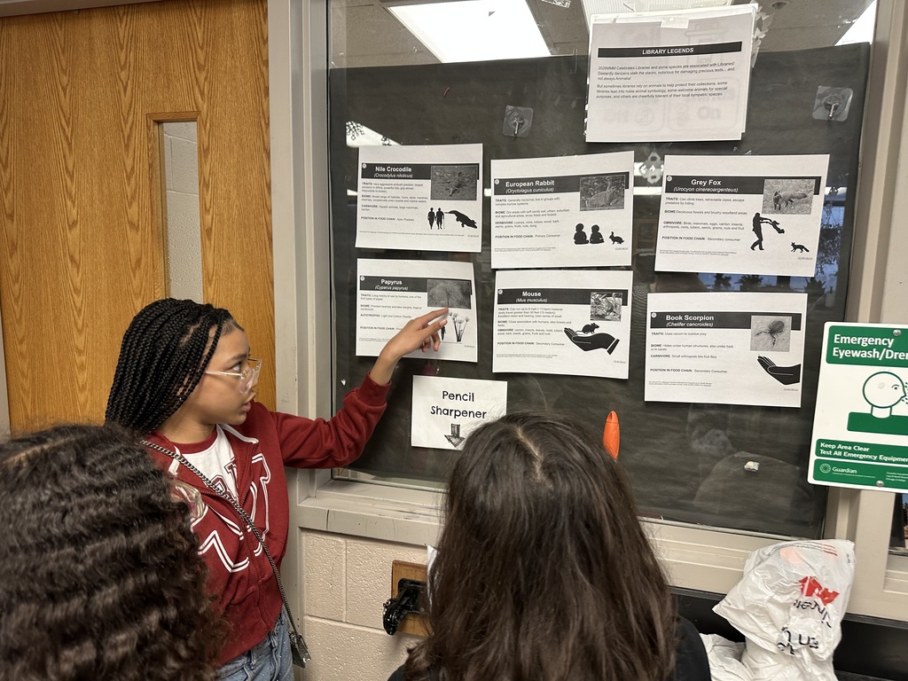 Image of 6th grade march madness 