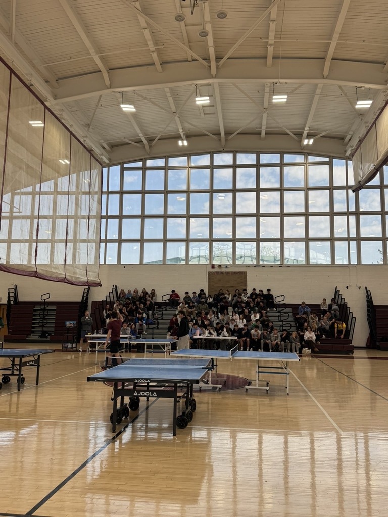 Ping Pong Championship