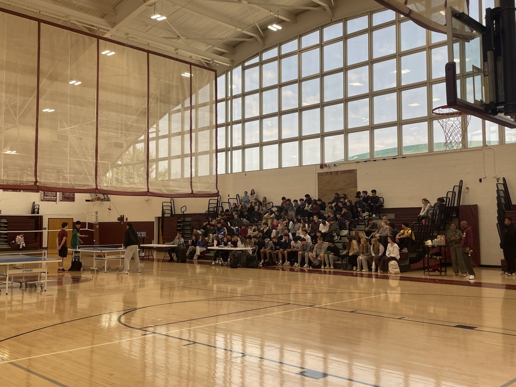 ping pong championship
