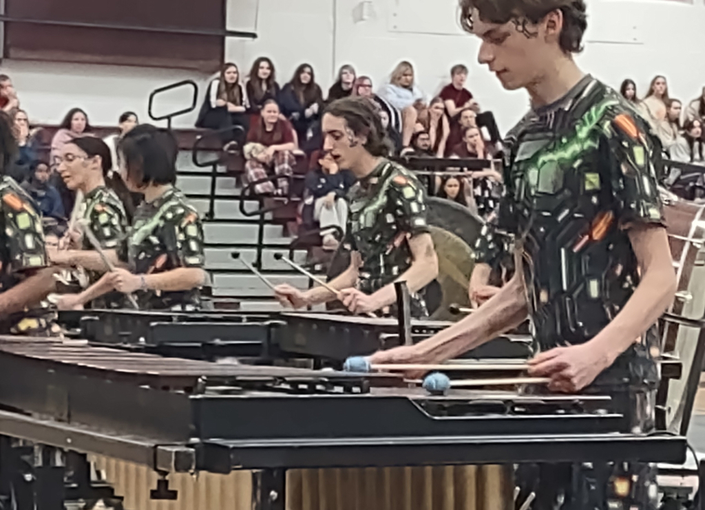 people playing percussion instruments 