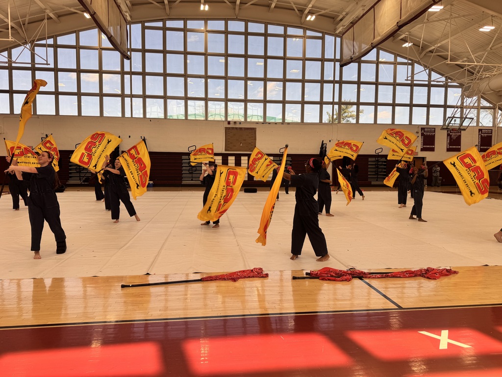 people spinning flags 