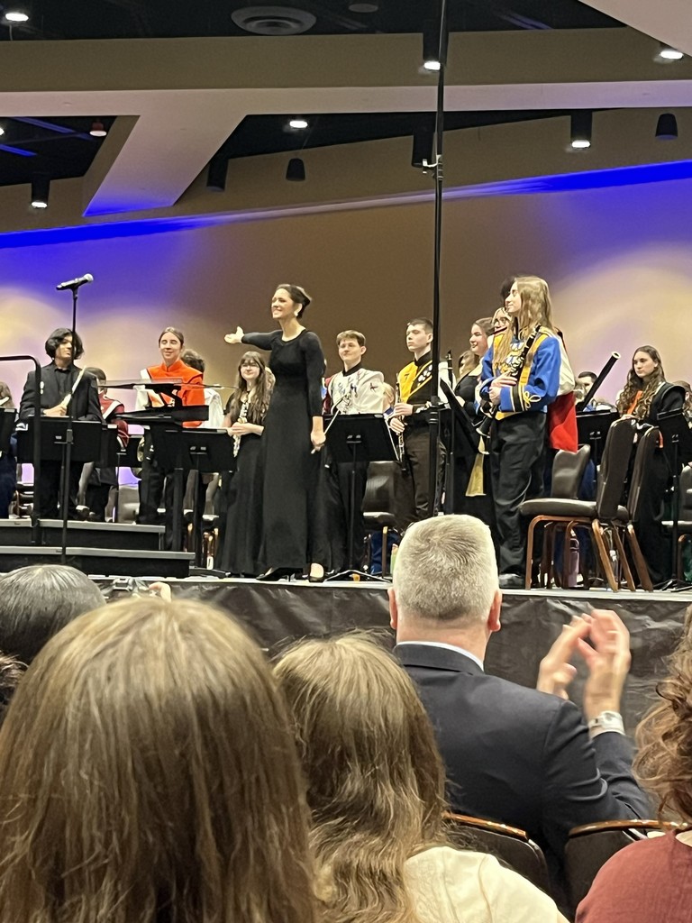 musicians performing at state festival