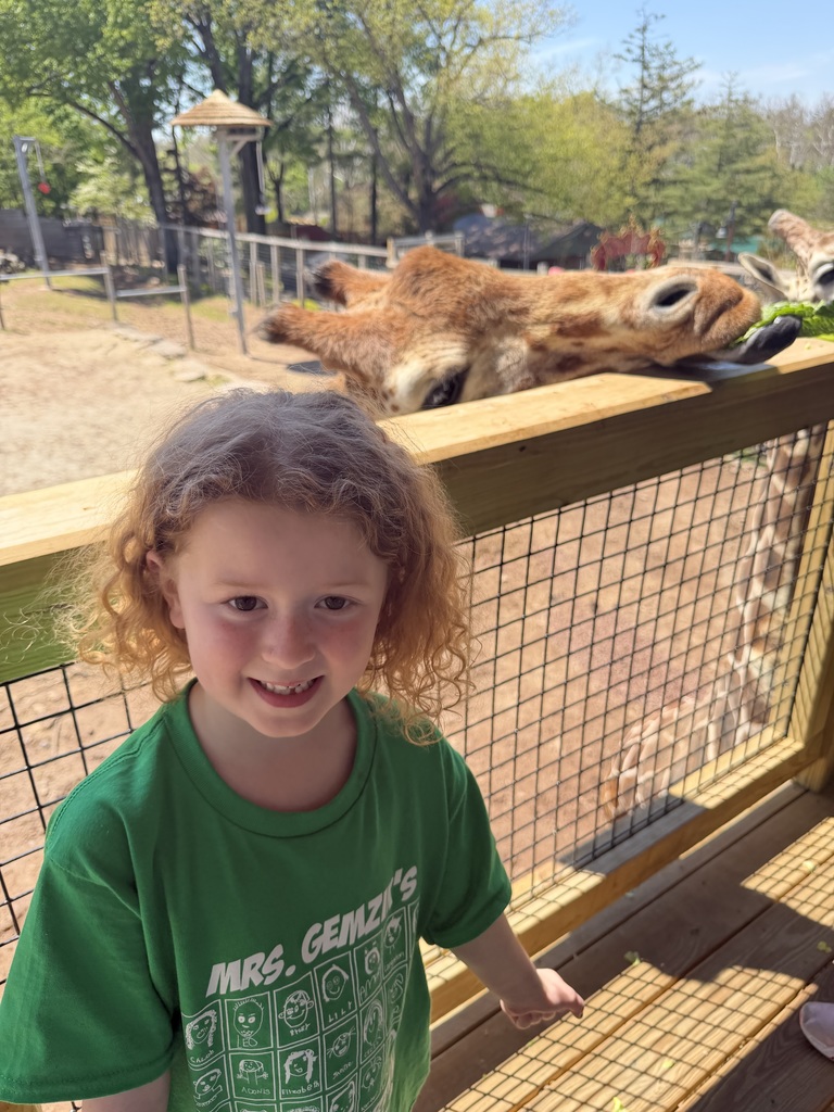 kindergarten student smiling at the zoo with a giraffe