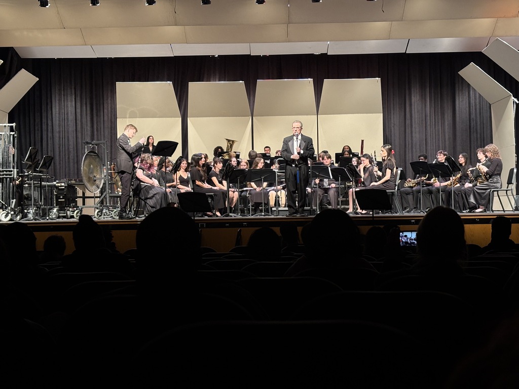 Mr.Detato and his Symphonic band at concert