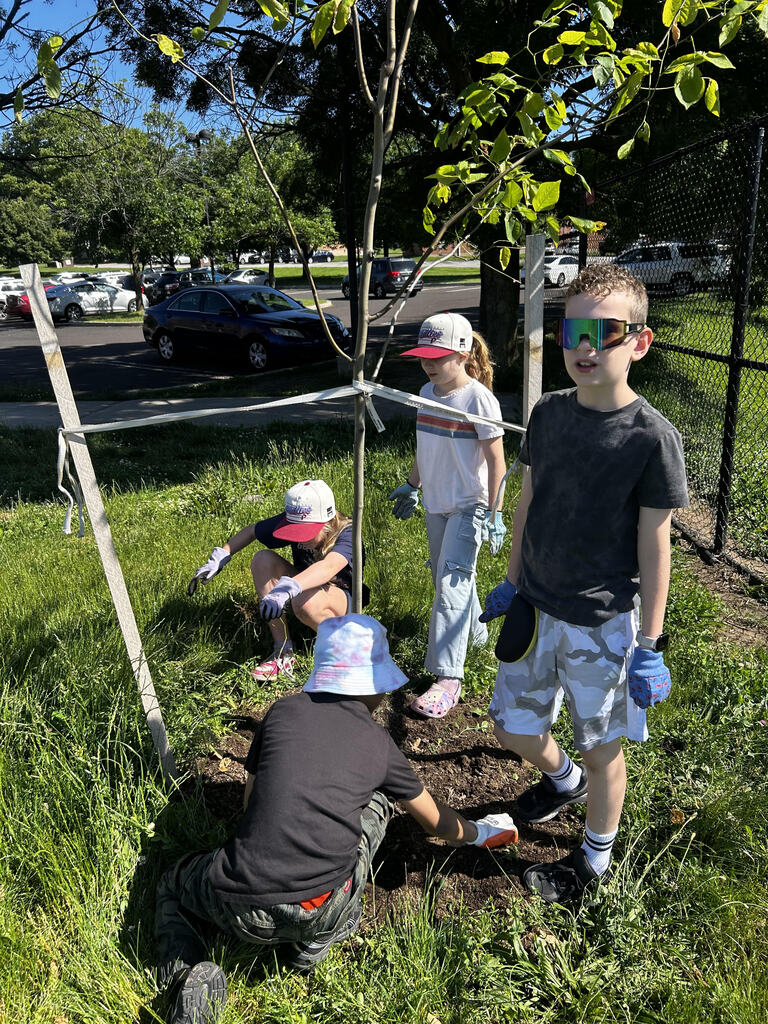 students mulching the trees.