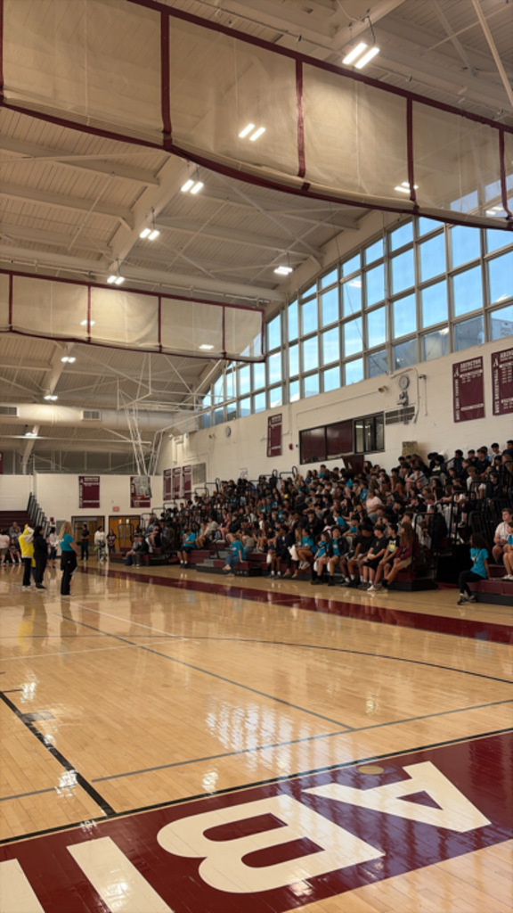 Link Crew and students in gymnasium