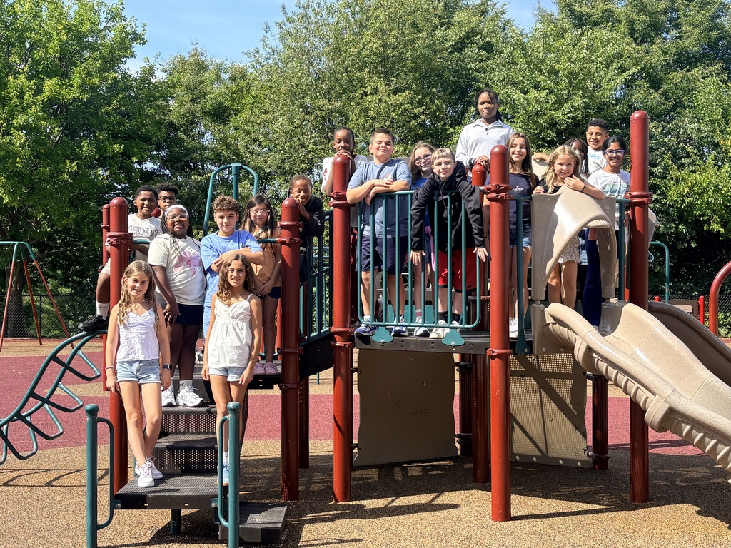Students on a playground posing