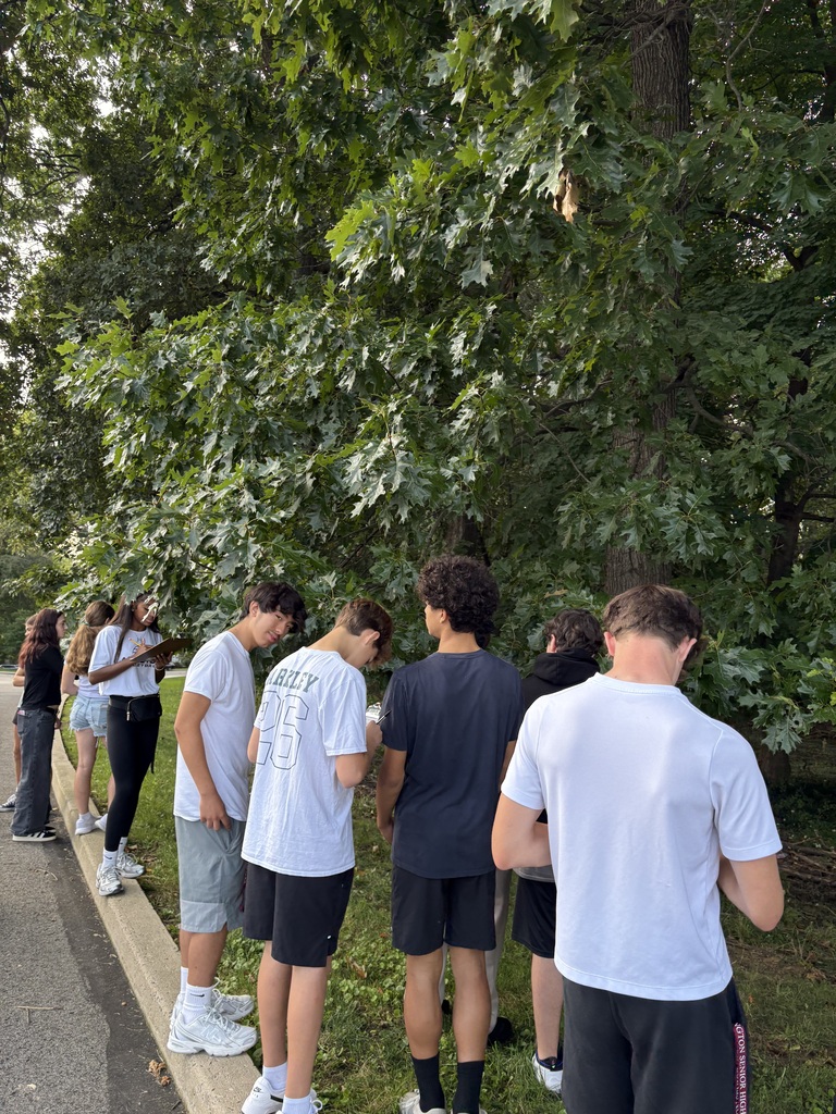 students collecting